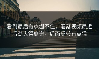 看到最后有点绷不住，蘑菇视频最近后劲大得离谱，后面反转有点猛