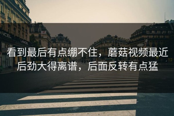 看到最后有点绷不住，蘑菇视频最近后劲大得离谱，后面反转有点猛