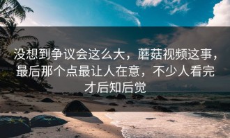 没想到争议会这么大，蘑菇视频这事，最后那个点最让人在意，不少人看完才后知后觉