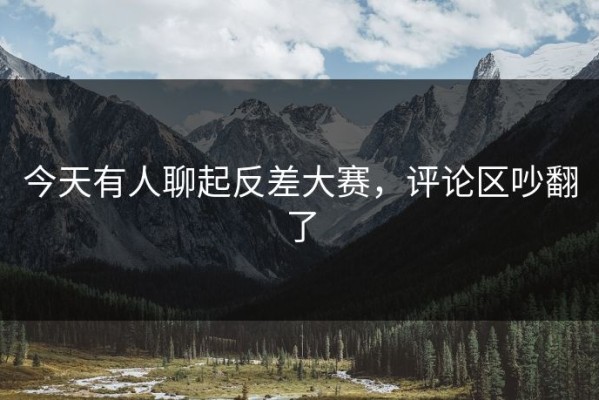 今天有人聊起反差大赛，评论区吵翻了