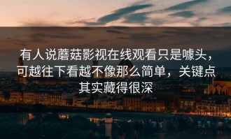 有人说蘑菇影视在线观看只是噱头，可越往下看越不像那么简单，关键点其实藏得很深