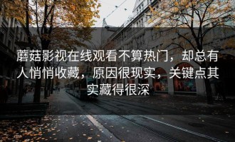 蘑菇影视在线观看不算热门，却总有人悄悄收藏，原因很现实，关键点其实藏得很深