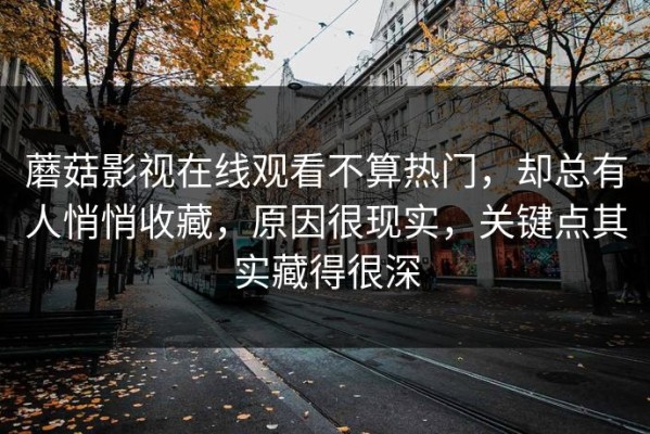 蘑菇影视在线观看不算热门，却总有人悄悄收藏，原因很现实，关键点其实藏得很深