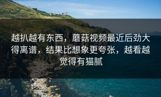 越扒越有东西，蘑菇视频最近后劲大得离谱，结果比想象更夸张，越看越觉得有猫腻