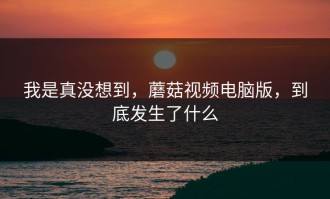我是真没想到，蘑菇视频电脑版，到底发生了什么