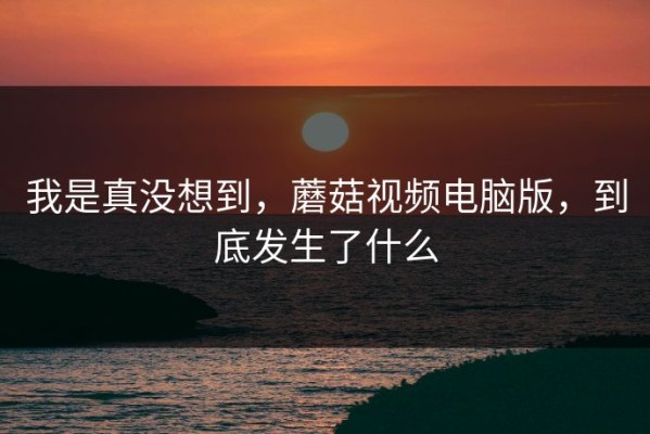 我是真没想到，蘑菇视频电脑版，到底发生了什么