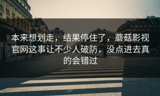 本来想划走，结果停住了，蘑菇影视官网这事让不少人破防，没点进去真的会错过