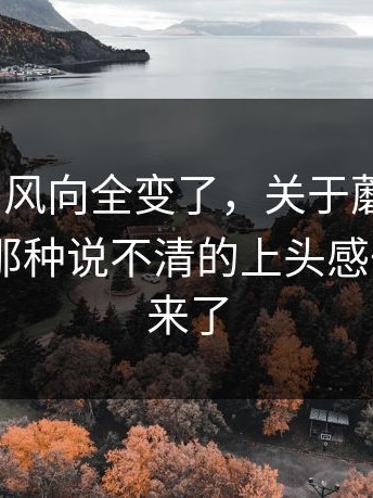一夜之间风向全变了，关于蘑菇视频app下载那种说不清的上头感一下就出来了