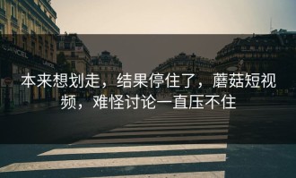 本来想划走，结果停住了，蘑菇短视频，难怪讨论一直压不住