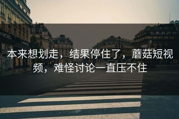 本来想划走，结果停住了，蘑菇短视频，难怪讨论一直压不住