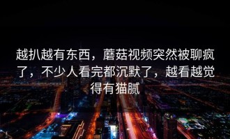 越扒越有东西，蘑菇视频突然被聊疯了，不少人看完都沉默了，越看越觉得有猫腻