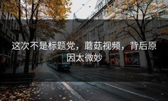这次不是标题党，蘑菇视频，背后原因太微妙