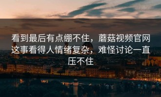 看到最后有点绷不住，蘑菇视频官网这事看得人情绪复杂，难怪讨论一直压不住