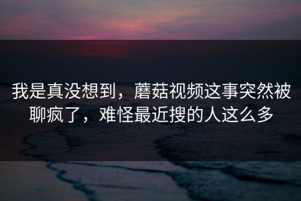 我是真没想到，蘑菇视频这事突然被聊疯了，难怪最近搜的人这么多