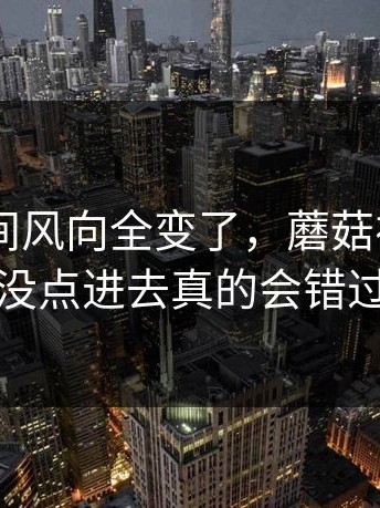 一夜之间风向全变了，蘑菇视频ios，没点进去真的会错过