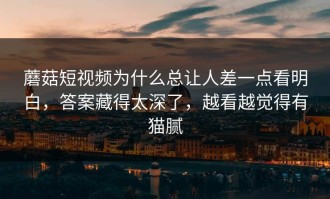 蘑菇短视频为什么总让人差一点看明白，答案藏得太深了，越看越觉得有猫腻