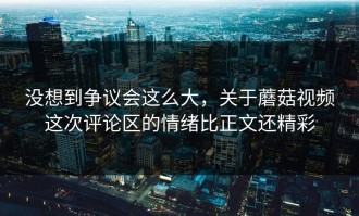没想到争议会这么大，关于蘑菇视频这次评论区的情绪比正文还精彩