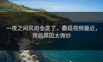 一夜之间风向全变了，蘑菇视频最近，背后原因太微妙