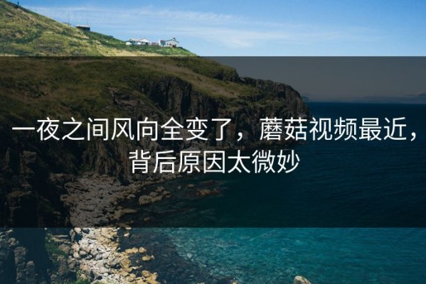 一夜之间风向全变了，蘑菇视频最近，背后原因太微妙