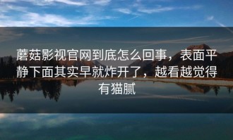 蘑菇影视官网到底怎么回事，表面平静下面其实早就炸开了，越看越觉得有猫腻