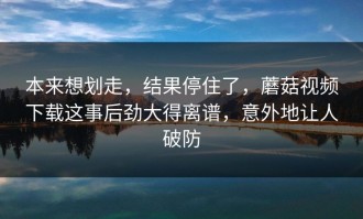 本来想划走，结果停住了，蘑菇视频下载这事后劲大得离谱，意外地让人破防