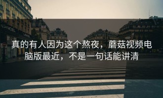 真的有人因为这个熬夜，蘑菇视频电脑版最近，不是一句话能讲清