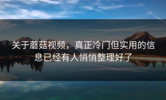 关于蘑菇视频，真正冷门但实用的信息已经有人悄悄整理好了
