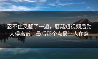 忍不住又翻了一遍，蘑菇短视频后劲大得离谱，最后那个点最让人在意