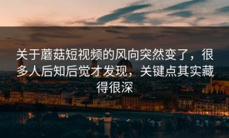 关于蘑菇短视频的风向突然变了，很多人后知后觉才发现，关键点其实藏得很深