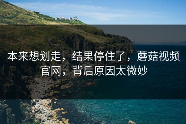 本来想划走，结果停住了，蘑菇视频官网，背后原因太微妙