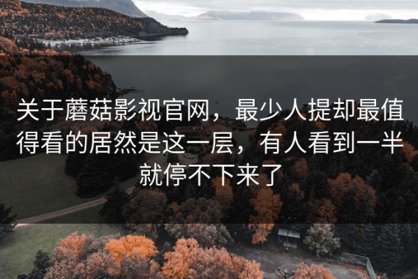 关于蘑菇影视官网，最少人提却最值得看的居然是这一层，有人看到一半就停不下来了