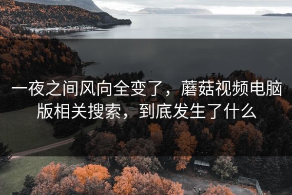 一夜之间风向全变了，蘑菇视频电脑版相关搜索，到底发生了什么
