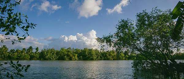 我是真没想到，蘑菇视频下载，细节一出来全明白了，不少人看完才后知后觉