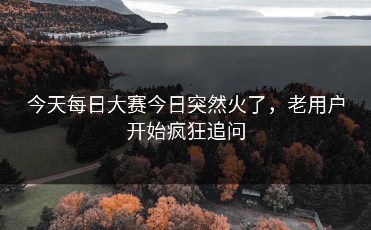 今天每日大赛今日突然火了，老用户开始疯狂追问