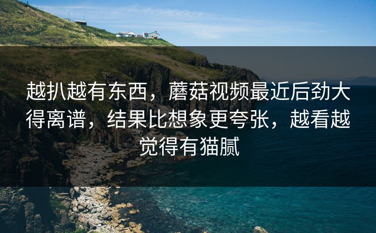 越扒越有东西,蘑菇视频最近后劲大得离谱,结果比想象更夸张,越看越觉得有猫腻 越扒越有东西,蘑菇视频最近后劲大得离谱,结果比想象更夸张,越看越觉得有猫腻
