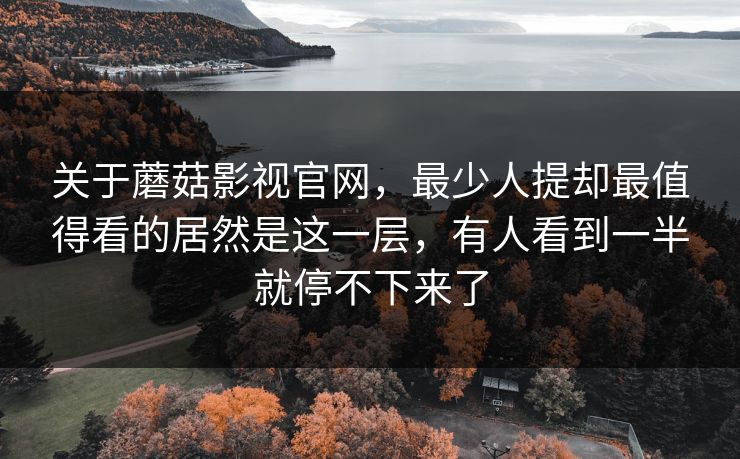 关于蘑菇影视官网，最少人提却最值得看的居然是这一层，有人看到一半就停不下来了