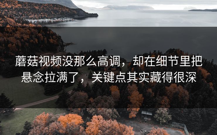 蘑菇视频没那么高调,却在细节里把悬念拉满了,关键点其实藏得很深 蘑菇视频没那么高调,却在细节里把悬念拉满了,关键点其实藏得很深