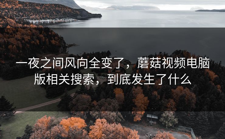 一夜之间风向全变了,蘑菇视频电脑版相关搜索,到底发生了什么 一夜之间风向全变了,蘑菇视频电脑版相关搜索,到底发生了什么