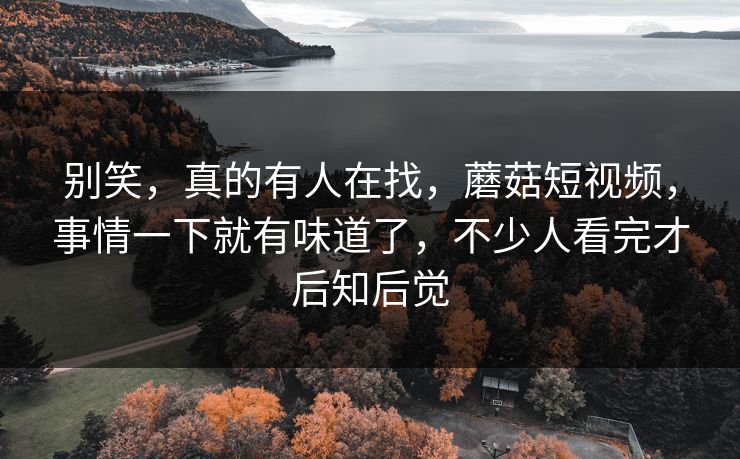 别笑,真的有人在找,蘑菇短视频,事情一下就有味道了,不少人看完才后知后觉 别笑,真的有人在找,蘑菇短视频,事情一下就有味道了,不少人看完才后知后觉
