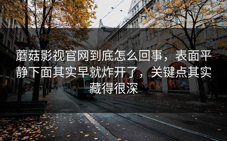 蘑菇影视官网到底怎么回事,表面平静下面其实早就炸开了,关键点其实藏得很深 蘑菇影视官网到底怎么回事,表面平静下面其实早就炸开了,关键点其实藏得很深