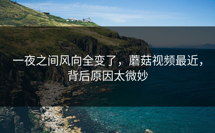一夜之间风向全变了,蘑菇视频最近,背后原因太微妙 一夜之间风向全变了,蘑菇视频最近,背后原因太微妙