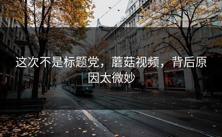 这次不是标题党,蘑菇视频,背后原因太微妙 这次不是标题党,蘑菇视频,背后原因太微妙